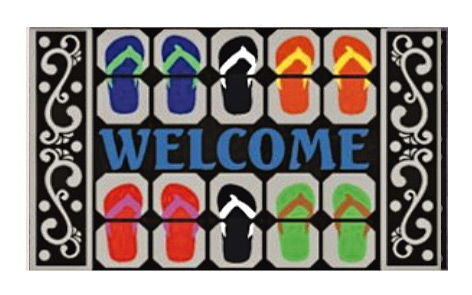 SHAHINTEX BH005-30-19 flocked door mat, 45*76
