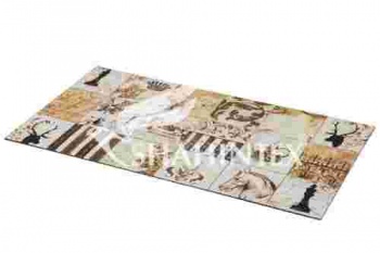 SHAHINTEX flocked door mat, 45*76 F740