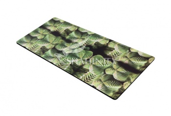 SHAHINTEX ANTISTRESS SH A004 universal mat, 51*122 