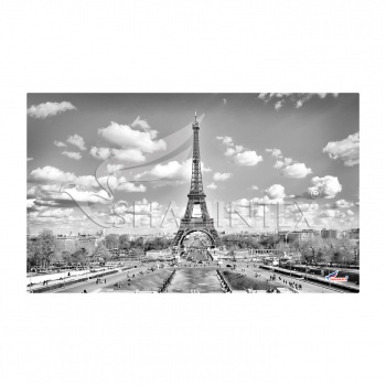 SHAHINTEX SPRING PHOTOPRINT SH P130 universal mat, 60*90