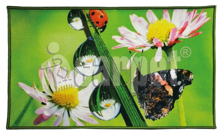 FANTASY mat, icarpet 50*80 006