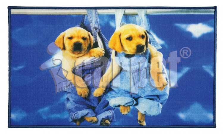 FANTASY mat, icarpet 50*80 010