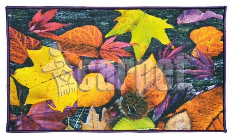 FANTASY mat, icarpet 60*100 002