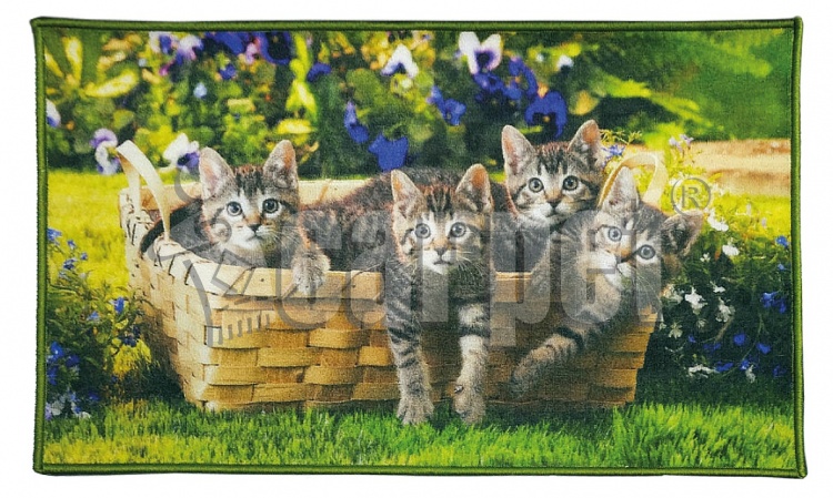 FANTASY mat, icarpet 60*100 005