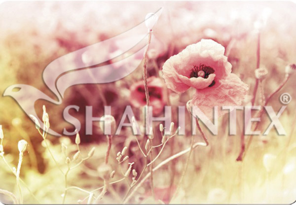 SHAHINTEX SPRING PHOTOPRINT SH P124 universal mat, 100*145