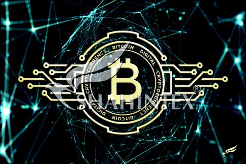 SHAHINTEX DIGITAL PRINT absorbing mat, «BTC» 50*80